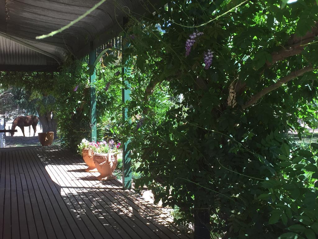 Birchwood Cottage Yarck Екстериор снимка