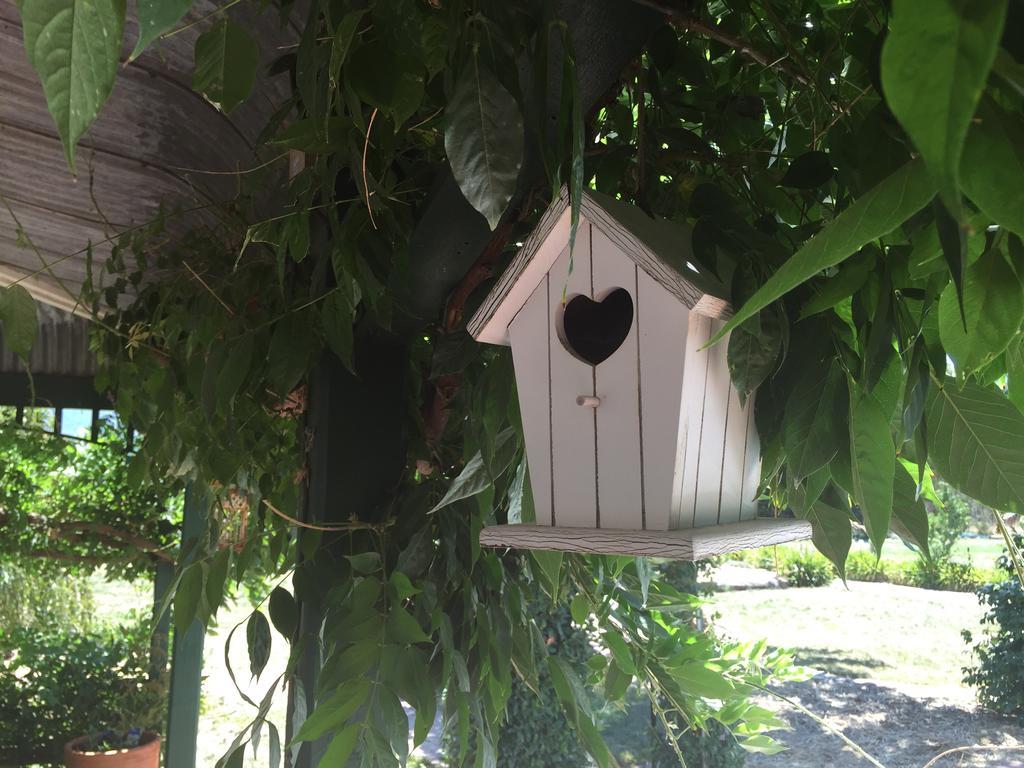Birchwood Cottage Yarck Екстериор снимка